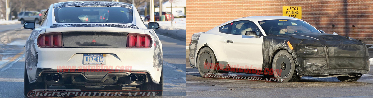 2015 Mustang GT350 Videos & Pictures - 2015 Mustang GT350 Picture